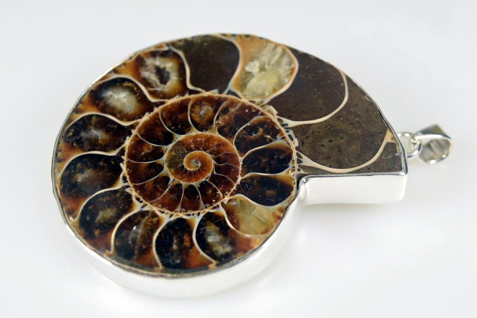 Large Ammonite Pendant 41grams | Image 1