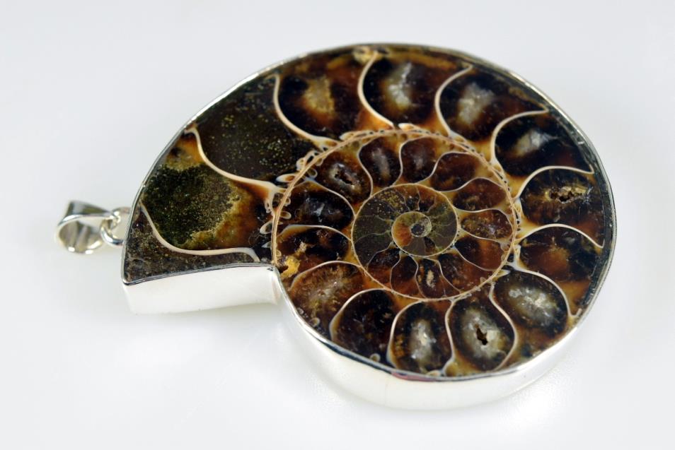 Large Ammonite Pendant 40.5grams | Image 1