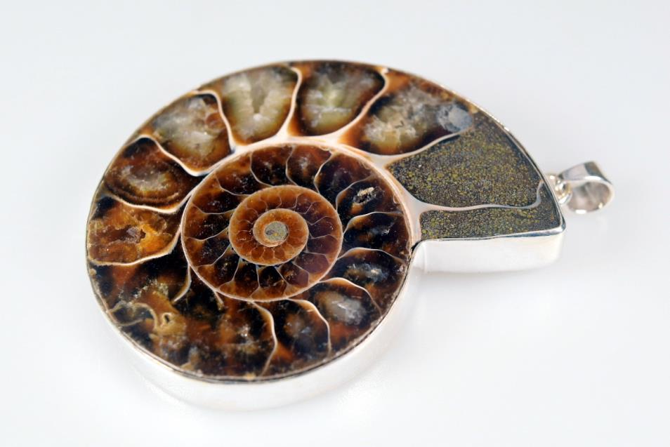 Large Ammonite Pendant 39.5grams | Image 1