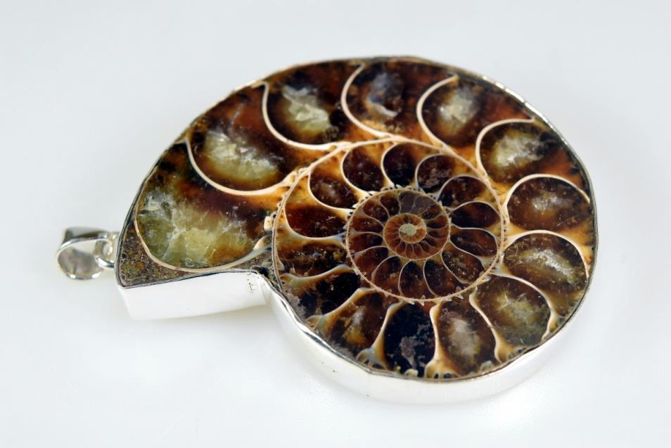 Large Ammonite Pendant 42grams | Image 1