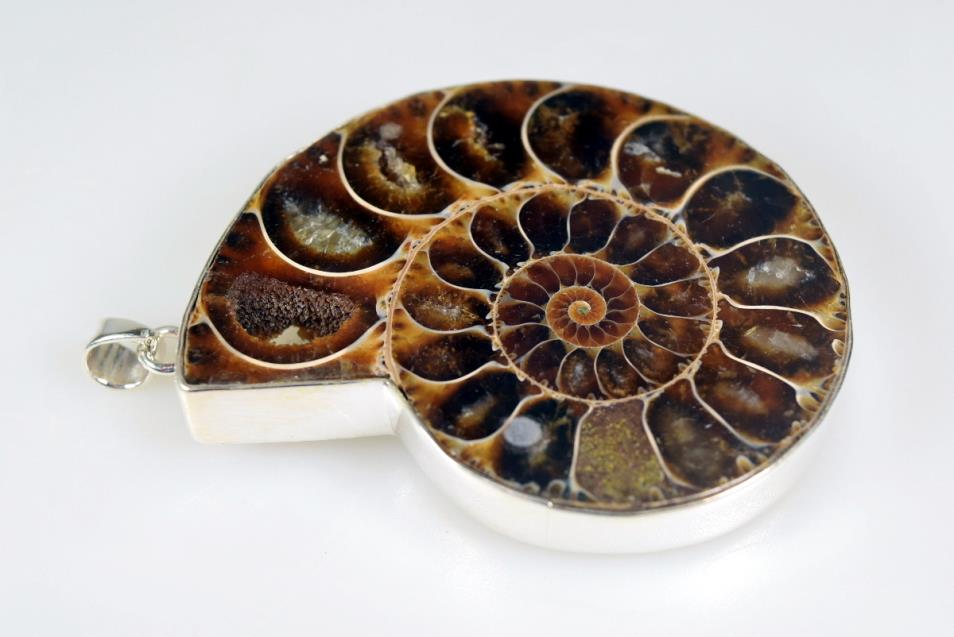 Large Ammonite Pendant 44grams | Image 1