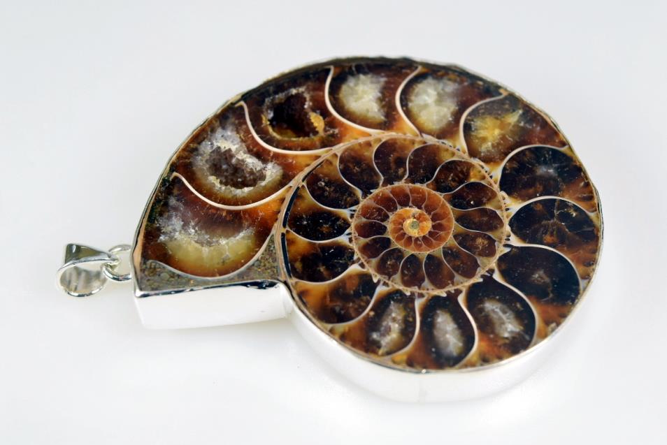 Large Ammonite Pendant 42.5grams | Image 1