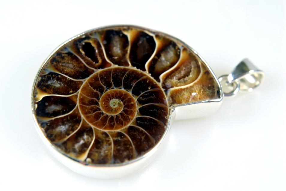 Ammonite Pendant 10grams | Image 1