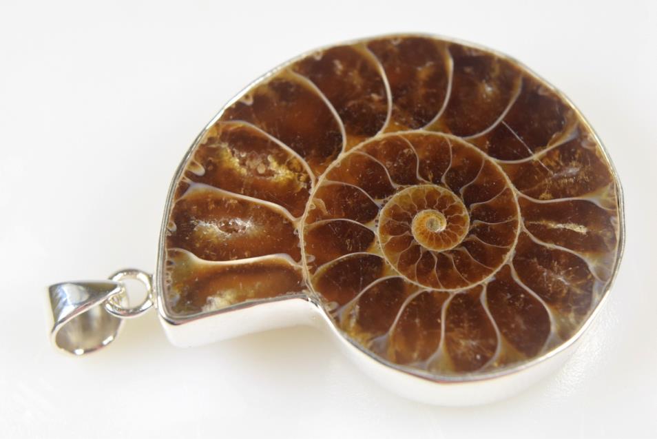 Ammonite Pendant 14grams | Image 1