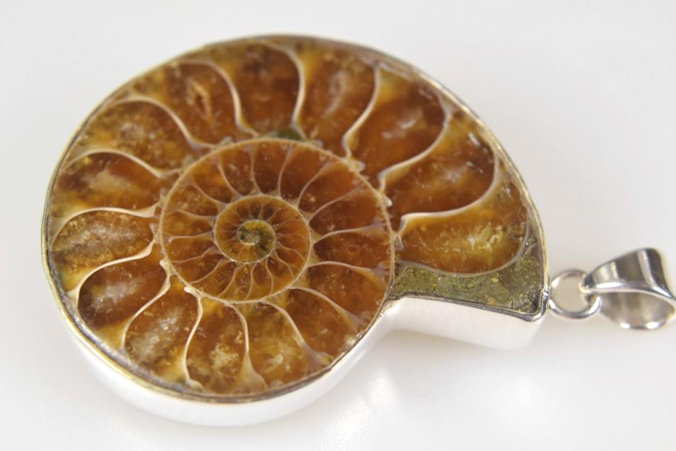 Ammonite Pendant 15.1grams | Image 1