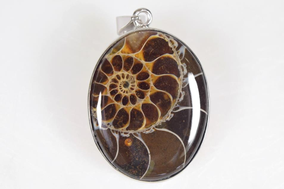 Ammonite oval Pendant 3.61cm | Image 1