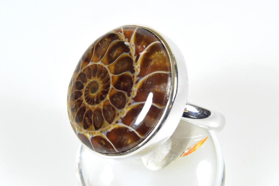 Ammonite Ring UK Q | Image 1