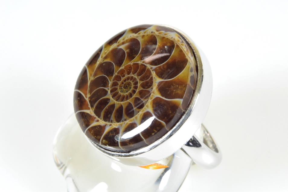 Ammonite Ring UK O | Image 1