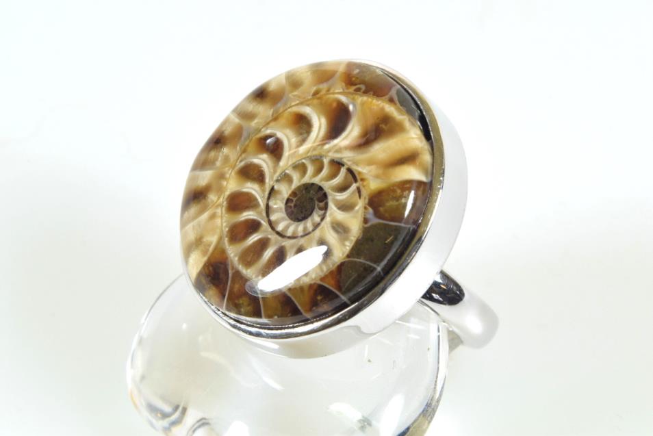 Ammonite Ring UK M | Image 1