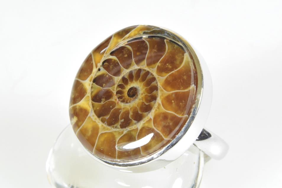 Ammonite Ring US size 7 | Image 1