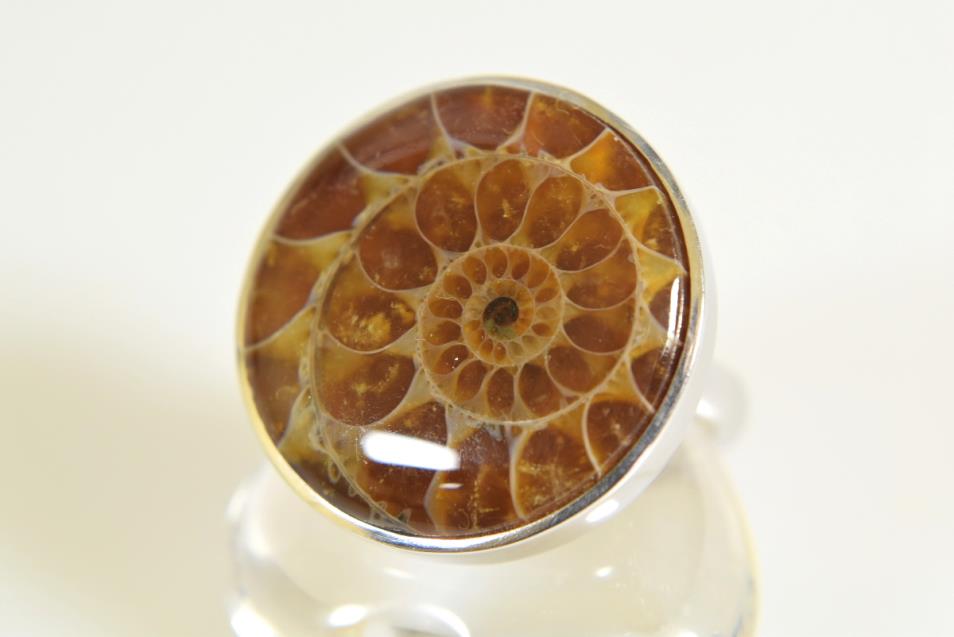 Ammonite Ring 11.1grams | Image 1