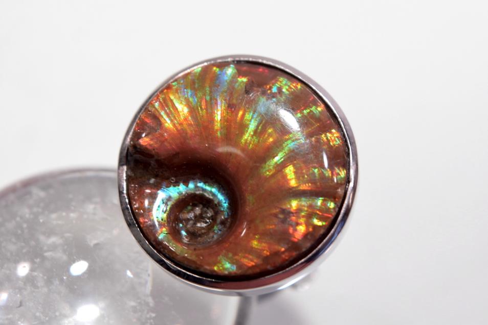 Iridescent Ammonite Round Ring 10.2grams | Image 1
