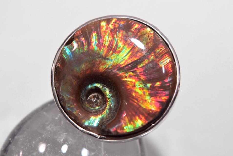Iridescent Ammonite Round Ring 12.2grams | Image 1