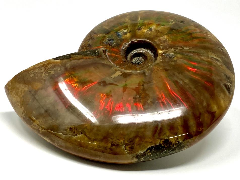Ammonite Red Iridescent Large 13.3cm | Image 1