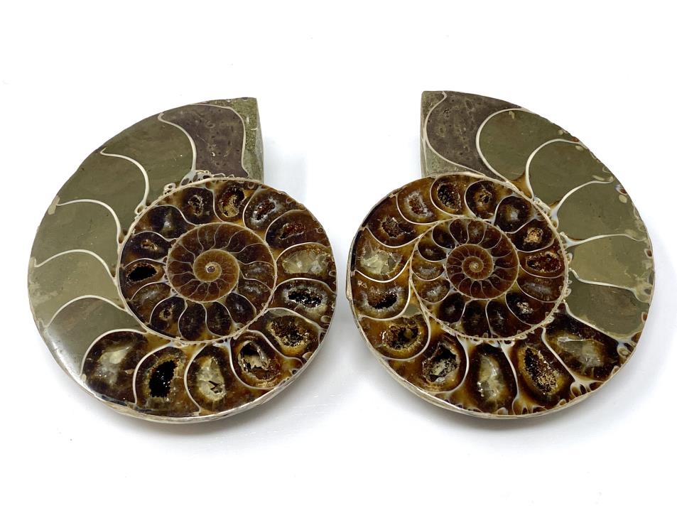 Ammonite Pair 6.8cm | Image 1