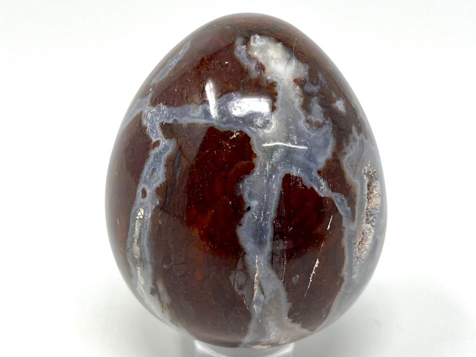 Fossil Wood Egg 4.8cm | Image 1
