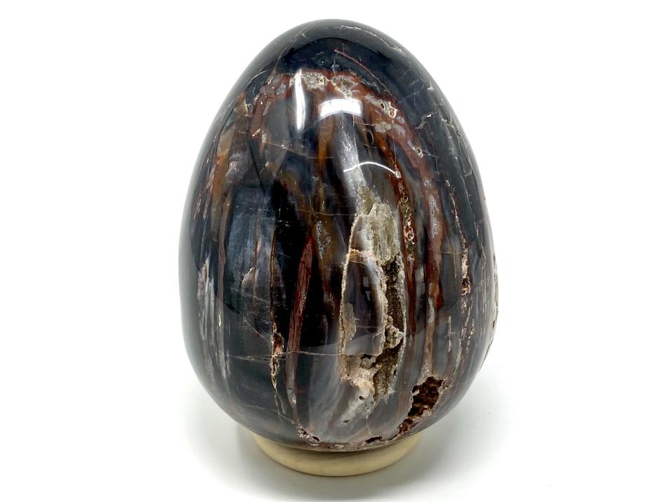 Fossil Wood Egg Large 15cm | Image 1