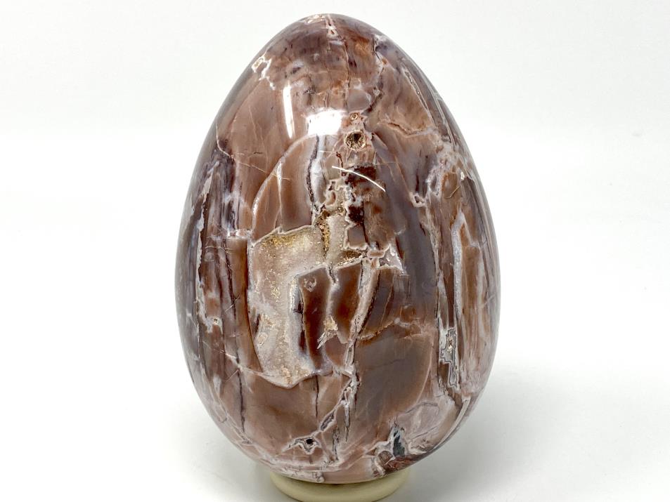 Druzy Fossil Wood Egg Large 17.7cm | Image 1