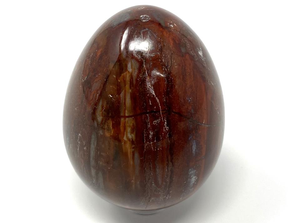 Fossil Wood Egg 5.7cm | Image 1