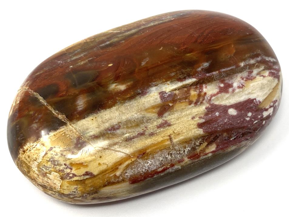 Fossil Wood Pebble 7.2cm  | Image 1