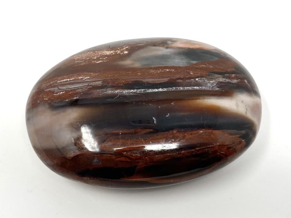 Fossil Wood Pebble 6.8cm | Image 1
