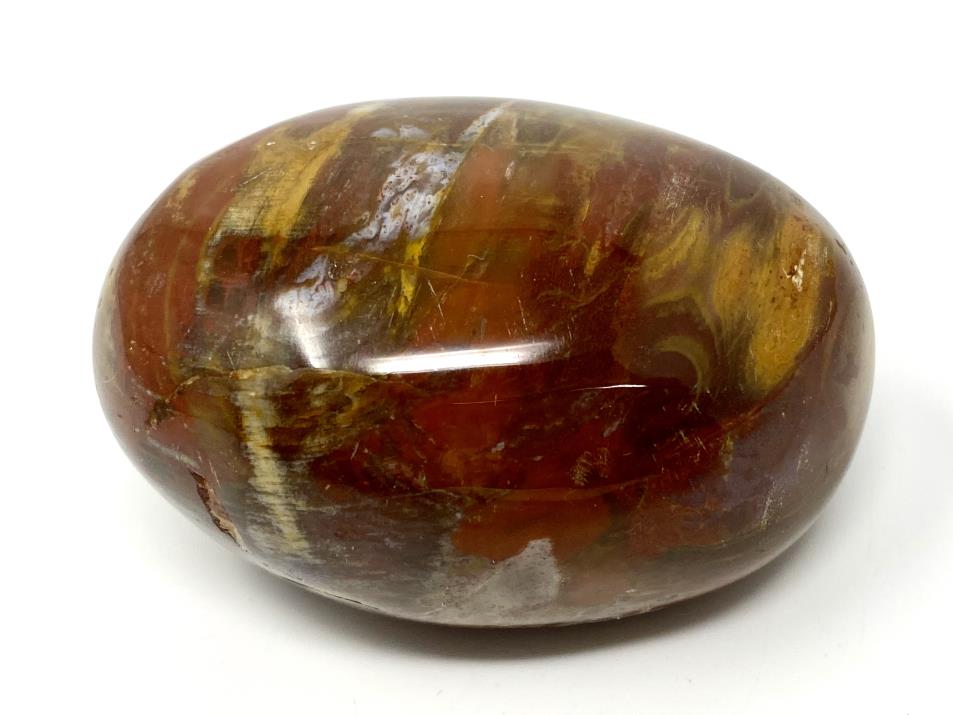 Fossil Wood Pebble 6.3cm | Image 1