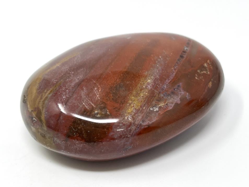 Fossil Wood Pebble 6.5cm | Image 1