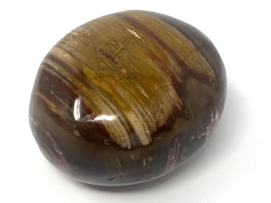 Fossil Wood Pebble 5.7cm | Image 1