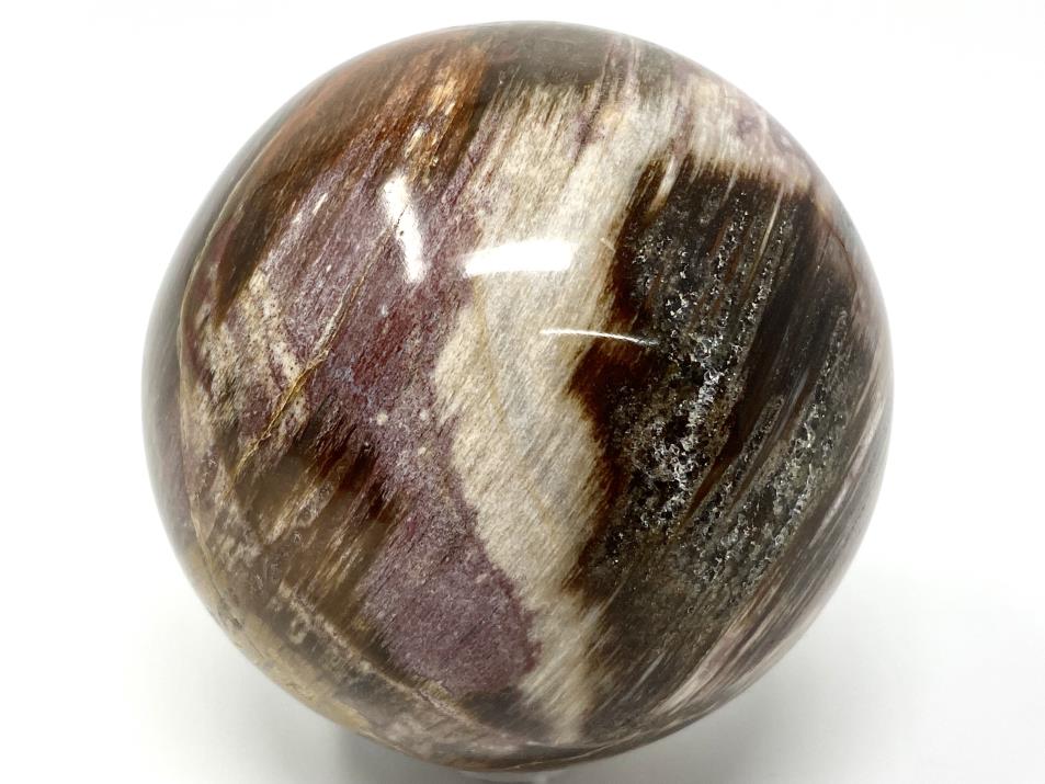 Fossil Wood Sphere 6.6cm | Image 1