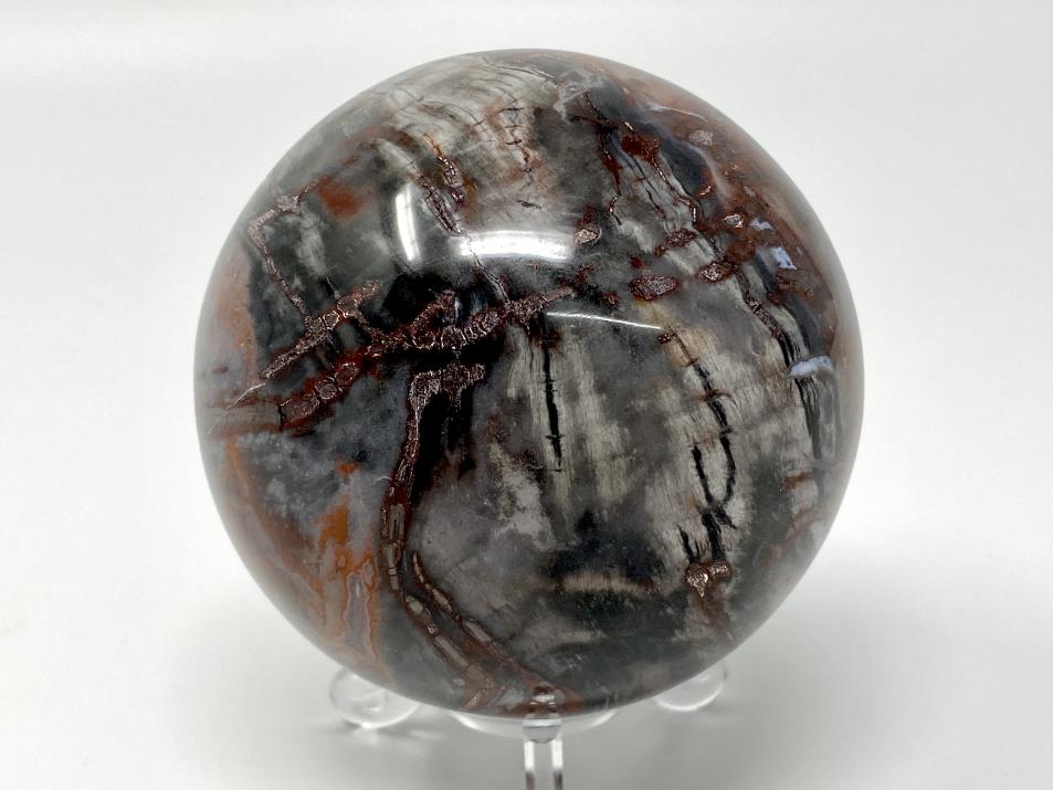 Fossil Wood Sphere 7.6cm | Image 1