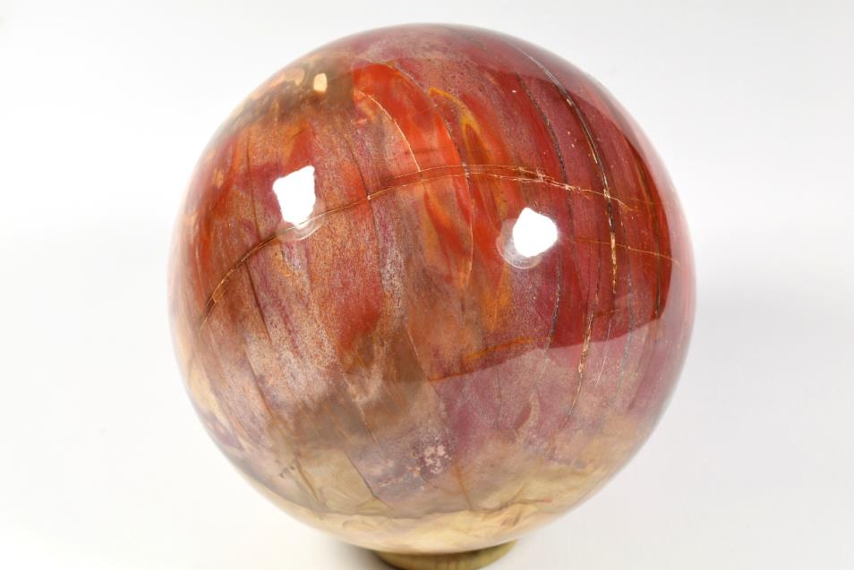 Fossil Wood Sphere 14.5cm | Image 1