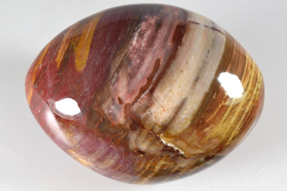 Fossil Wood Pebble 304 grams | Image 1