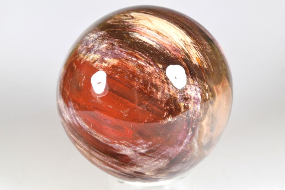 Fossil Wood Sphere 9.9cm | Image 1
