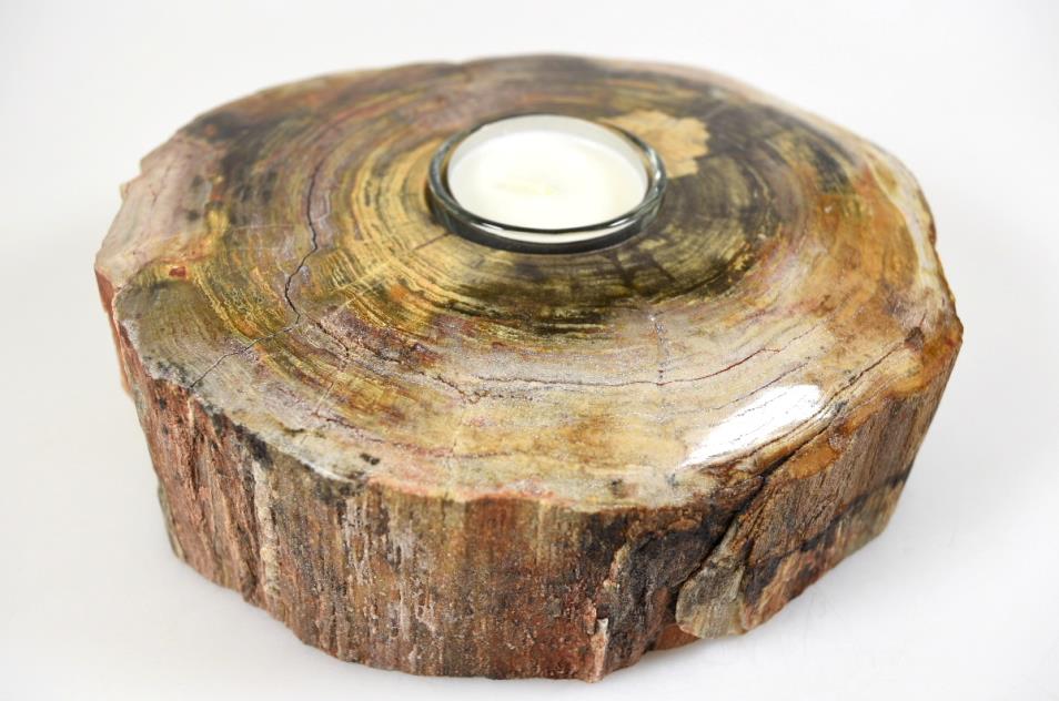 Fossilised Wood Tea Light 17cm | Image 1