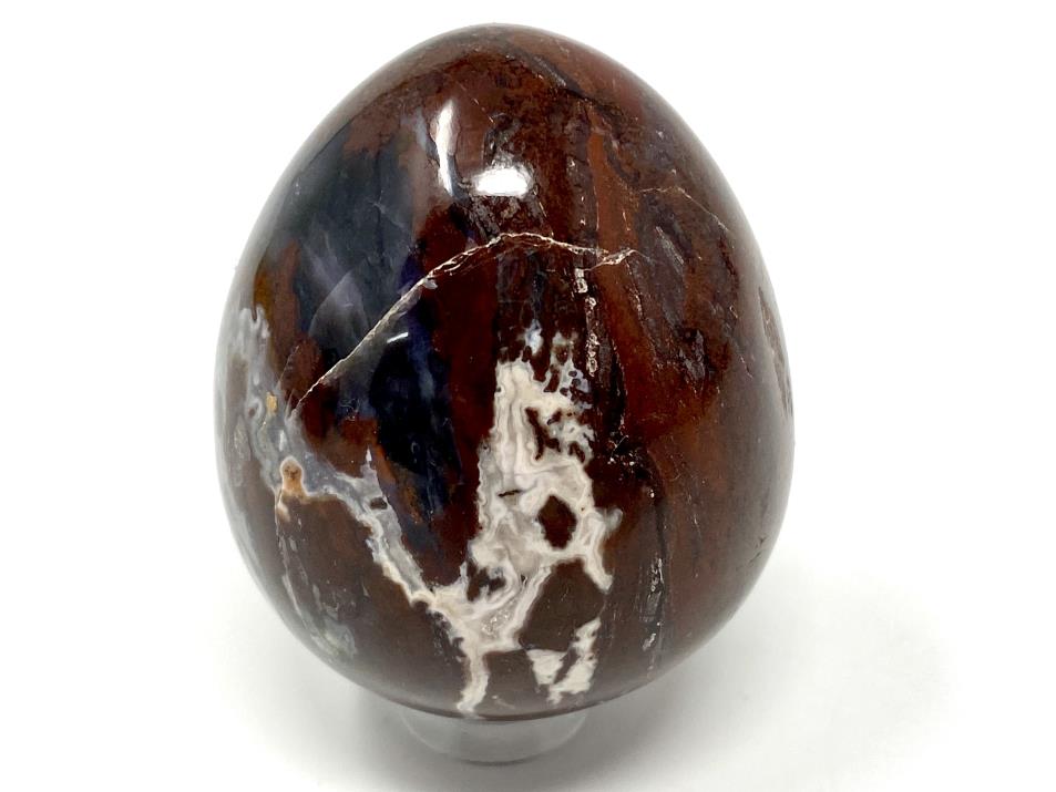 Fossil Wood Egg 5.3cm | Image 1