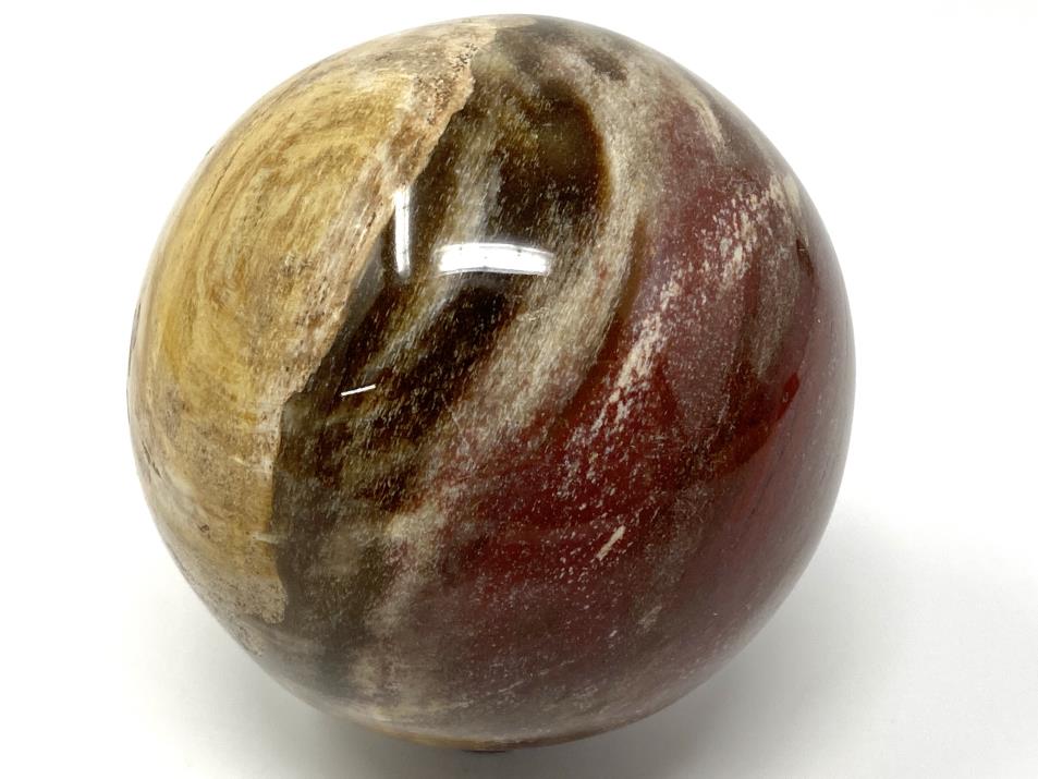 Fossil Wood Sphere 6.8cm | Image 1