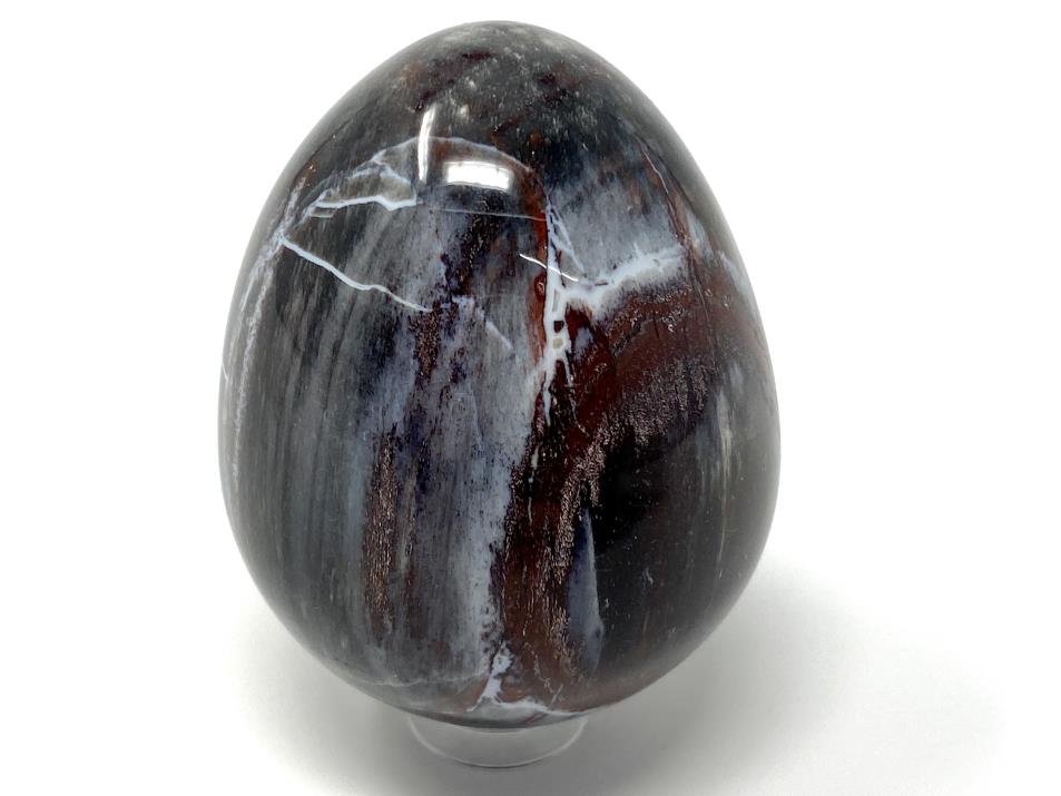 Fossil Wood Egg 5.5cm | Image 1