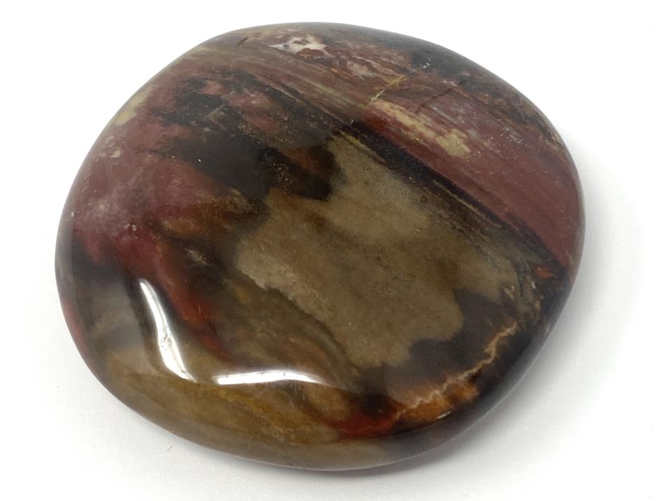Fossil Wood Pebble 6.2cm | Image 1