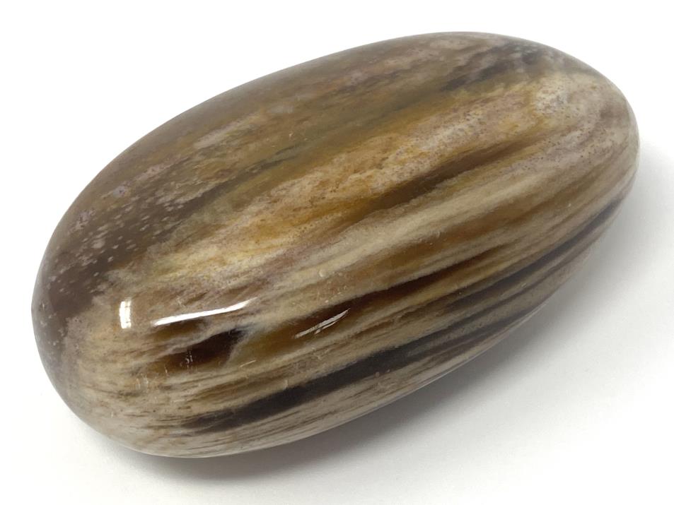 Fossil Wood Pebble 7.8cm | Image 1