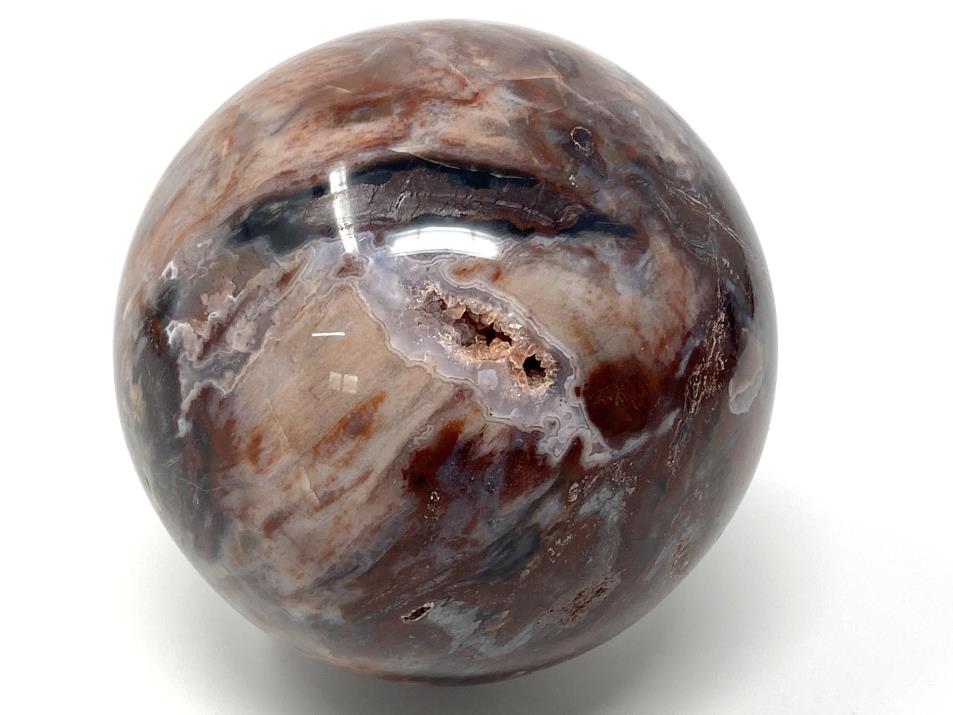 Druzy Fossil Wood Sphere Large 9.3cm | Image 1