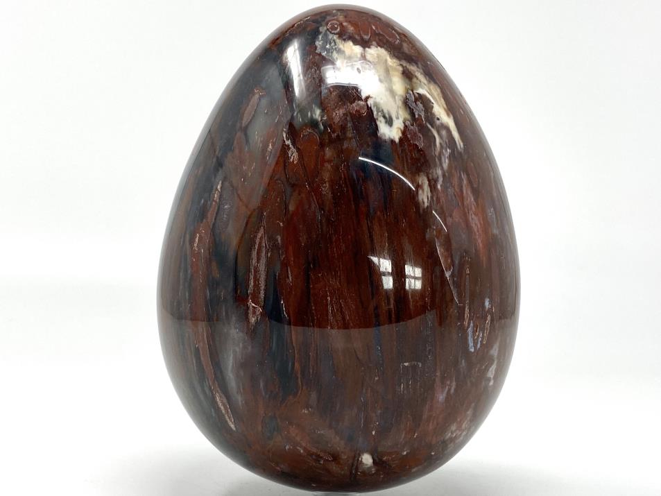 Fossil Wood Egg Large 15.1cm | Image 1