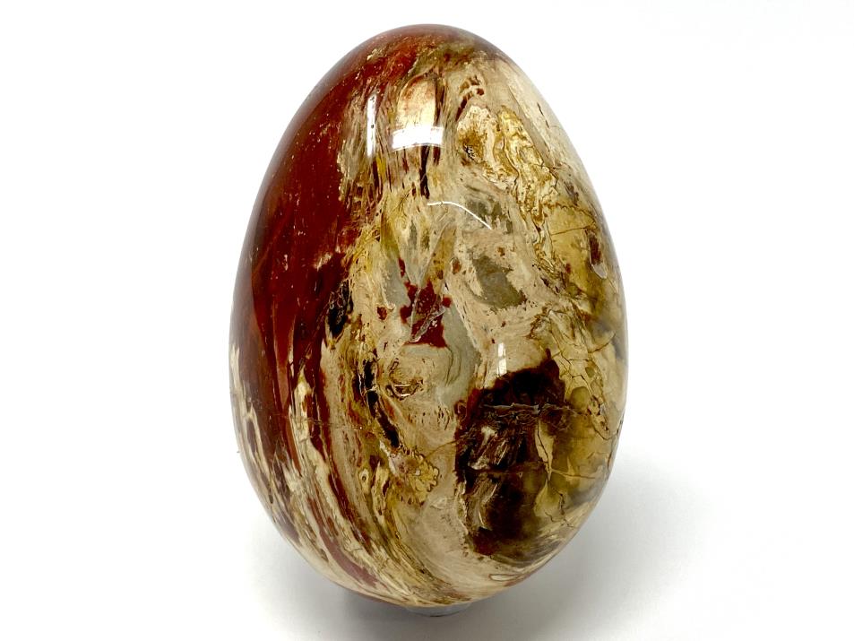 Fossil Wood Egg Large 10.4cm | Image 1