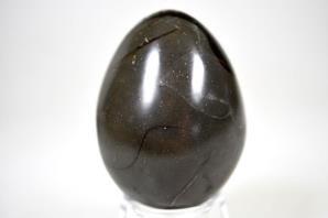 Black Septarian Egg 6.3cm | Image 5