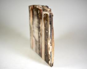 Fossilised Wood Freeshape 15cm | Image 5