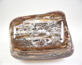Druzy Fossil Wood Pebble Large 9.6cm | Image 3