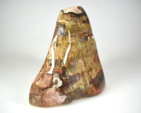 Fossilised Wood Freeshape 13.5cm | Image 3