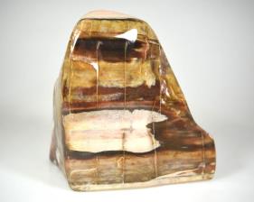 Fossilised Wood Freeshape 13.5cm | Image 4