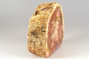 Fossilised Wood Branch 9.3cm | Image 5