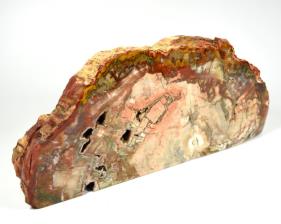 Fossilised Wood Freeshape 30cm | Image 2