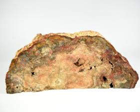 Fossilised Wood Freeshape 30cm | Image 8